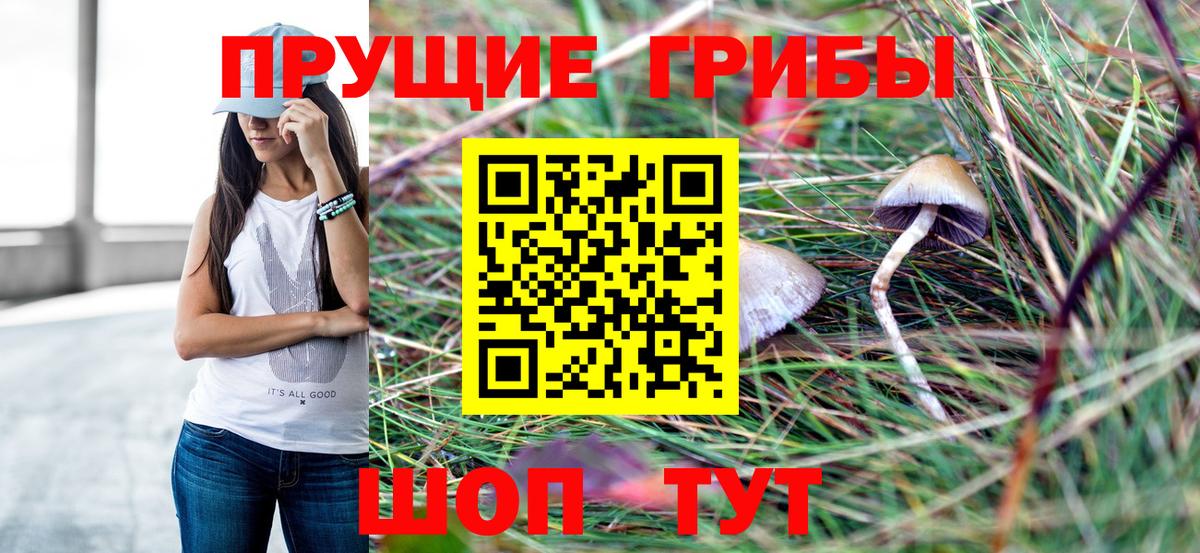 Кисловодск  хочу   Вход с VPN  Псилоцибиновые грибы прущие грибы 